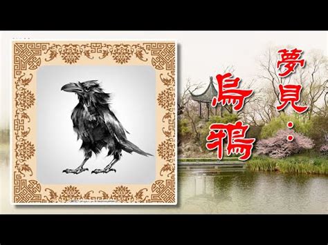 夢見鳥飛到頭上|伊本·西林 (Ibn Sirin) 夢見鳥的最重要的 70 個解釋